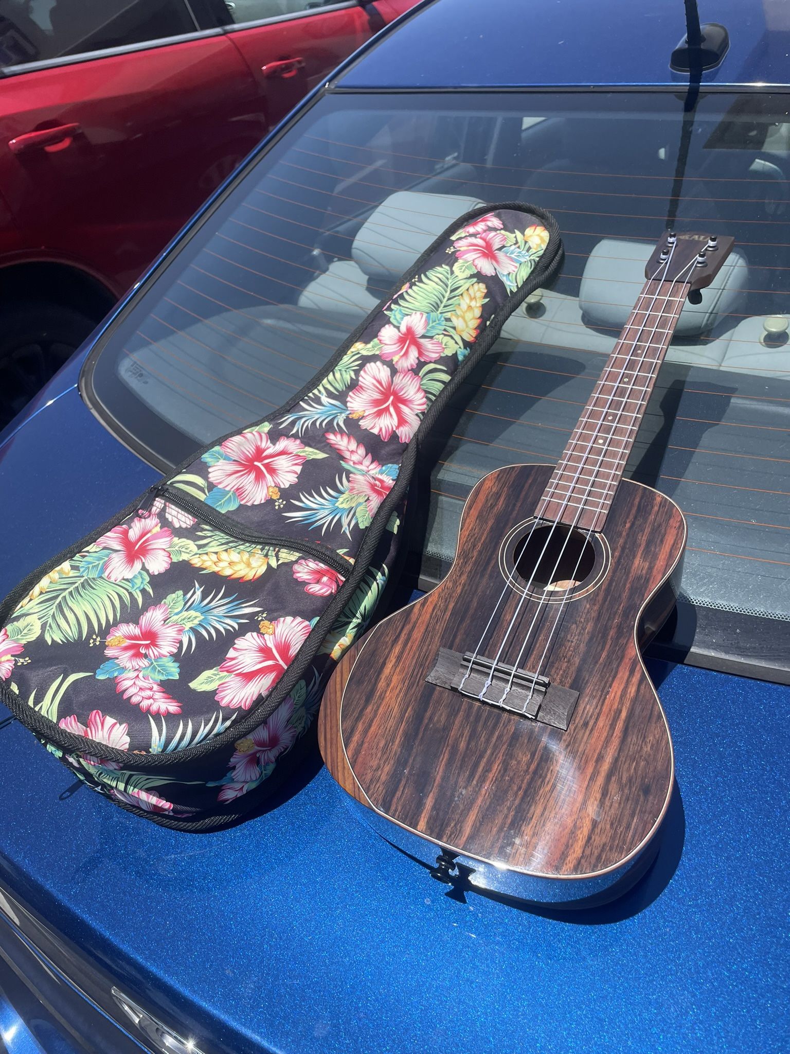Kala Ukelele