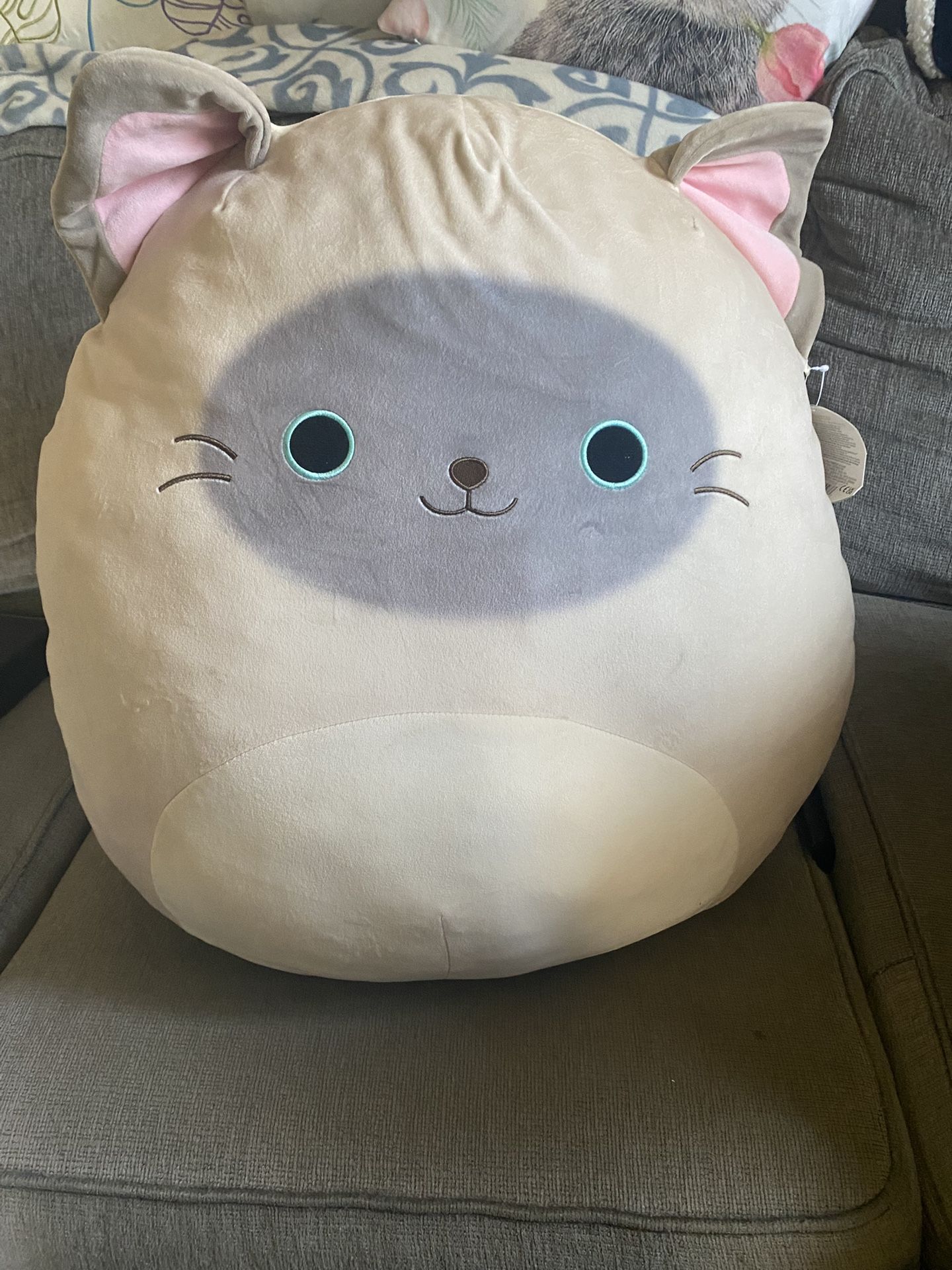Giant Squishmallow