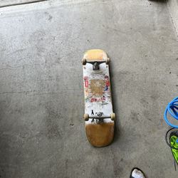 Skate Board 