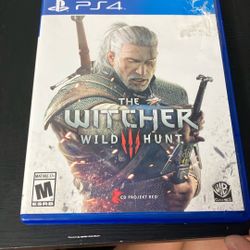 The Witcher Wild Hunt