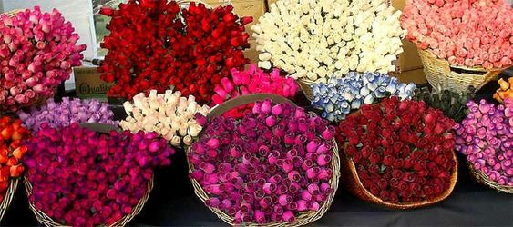 Graduation Wooden Roses