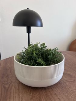 IKEA Gradvis Plant Pot 9” Grey
