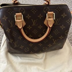 Louis Vuitton Speedy 25 Handbag