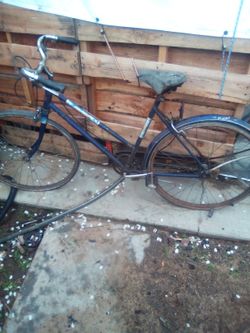 Free Spirit Shiefield 3 Speed