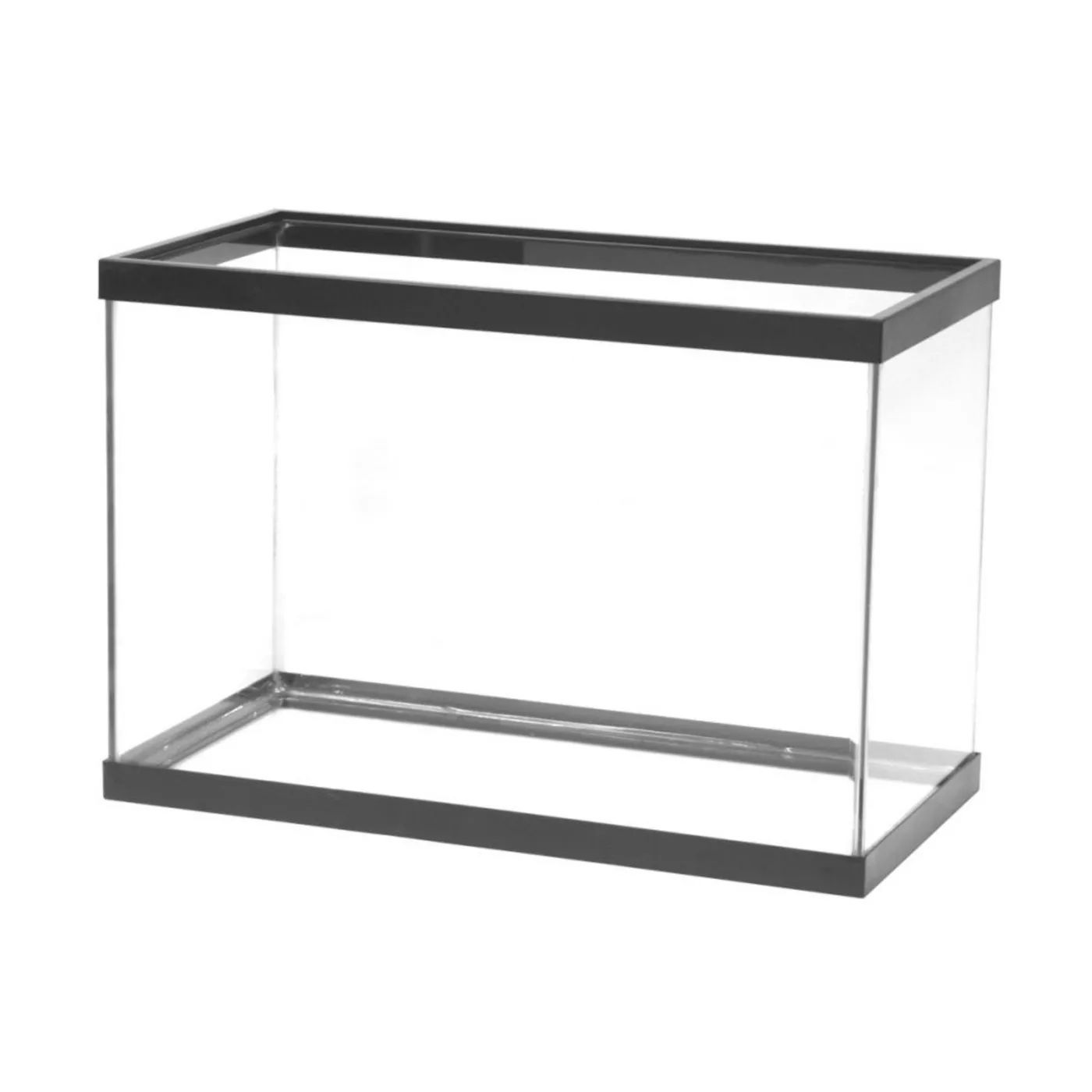 5.5 Gallon Fish Tank