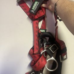Safety Harness