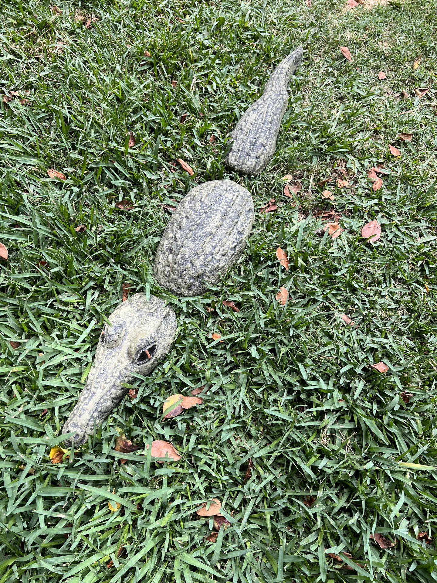 Cocodrilo De Cemento 