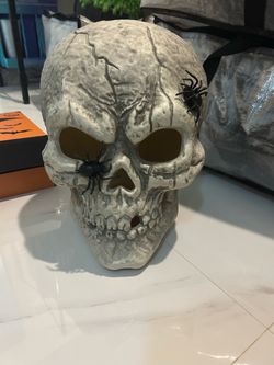 Lighted Halloween Skull with Spiders