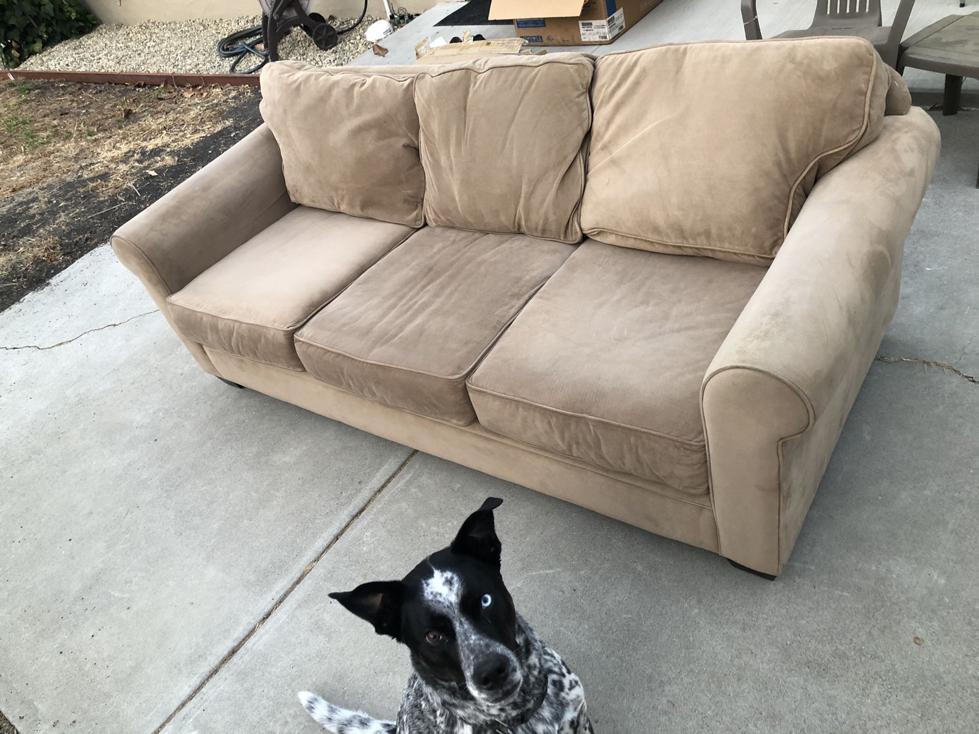 Tan/Brown Couch FREE!