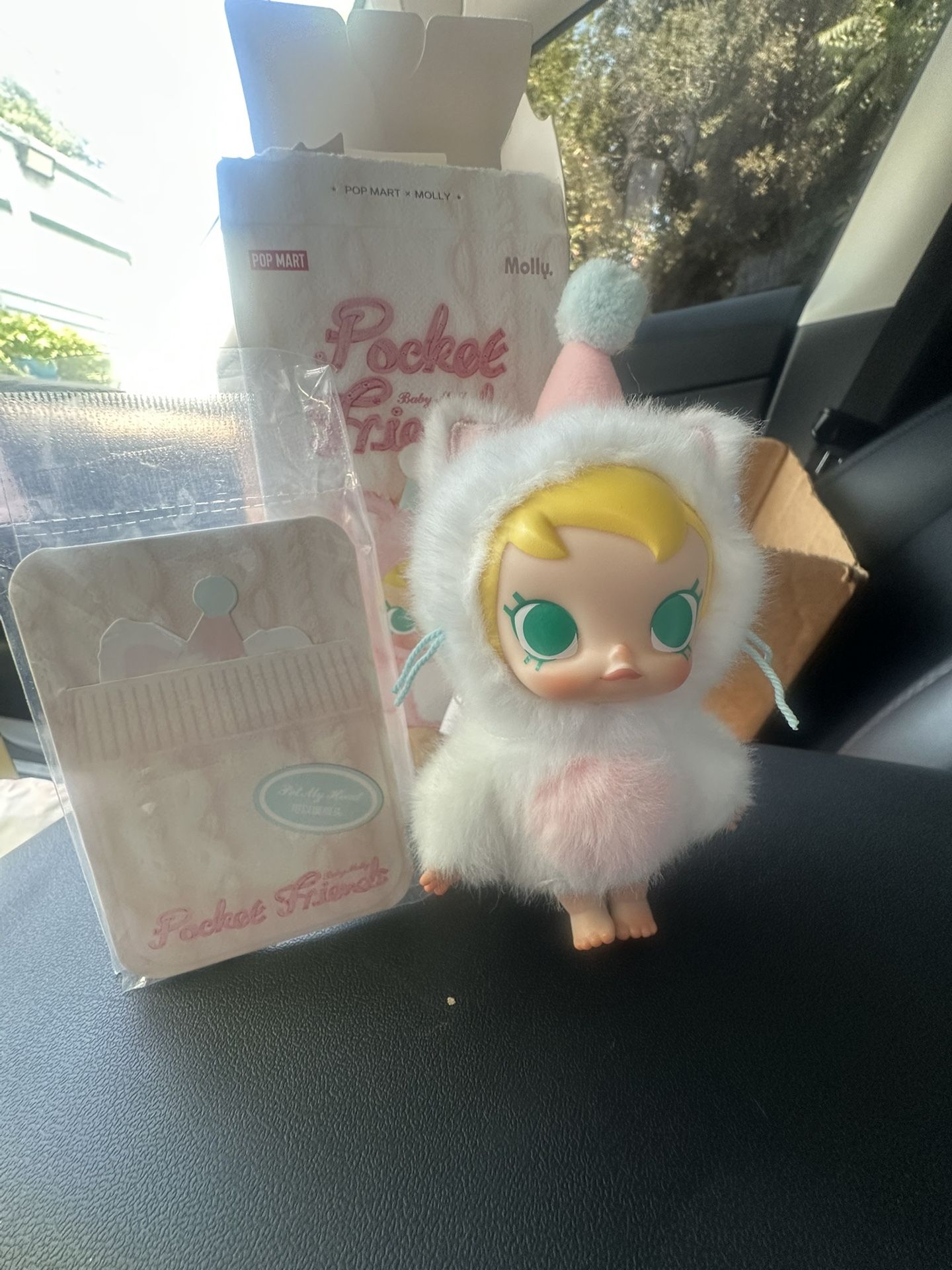 Pocket Molly