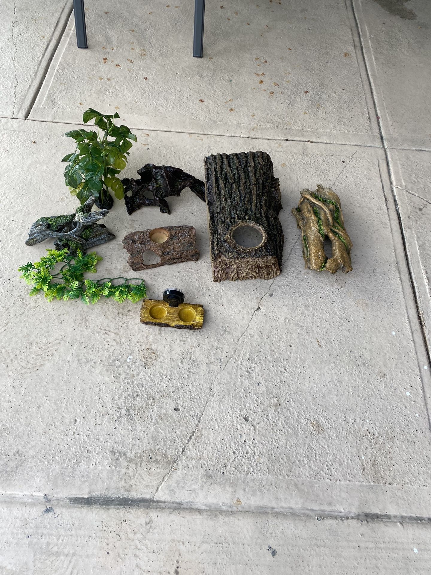 Reptile Decor 