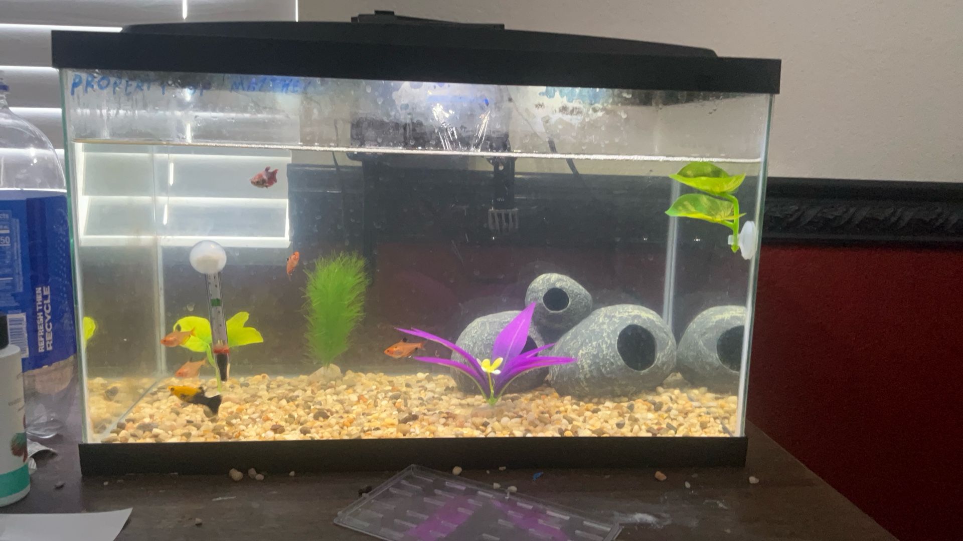 Used Aqueon LED10
