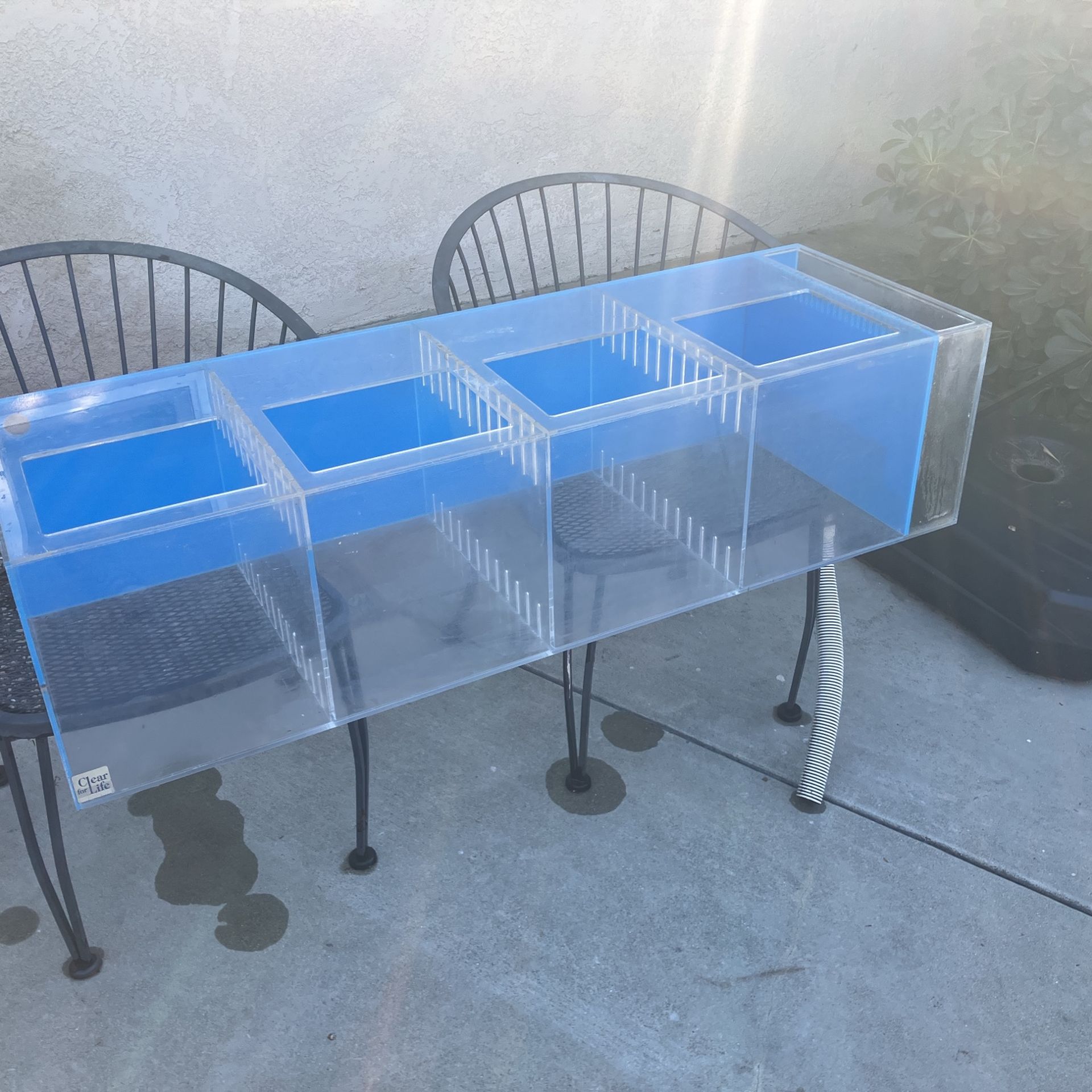 Aquariums: 40 and 65 Gallon