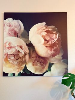 Peony Floral Canvas Wall Art
