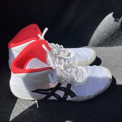 ASICS Wrestling Shoes 