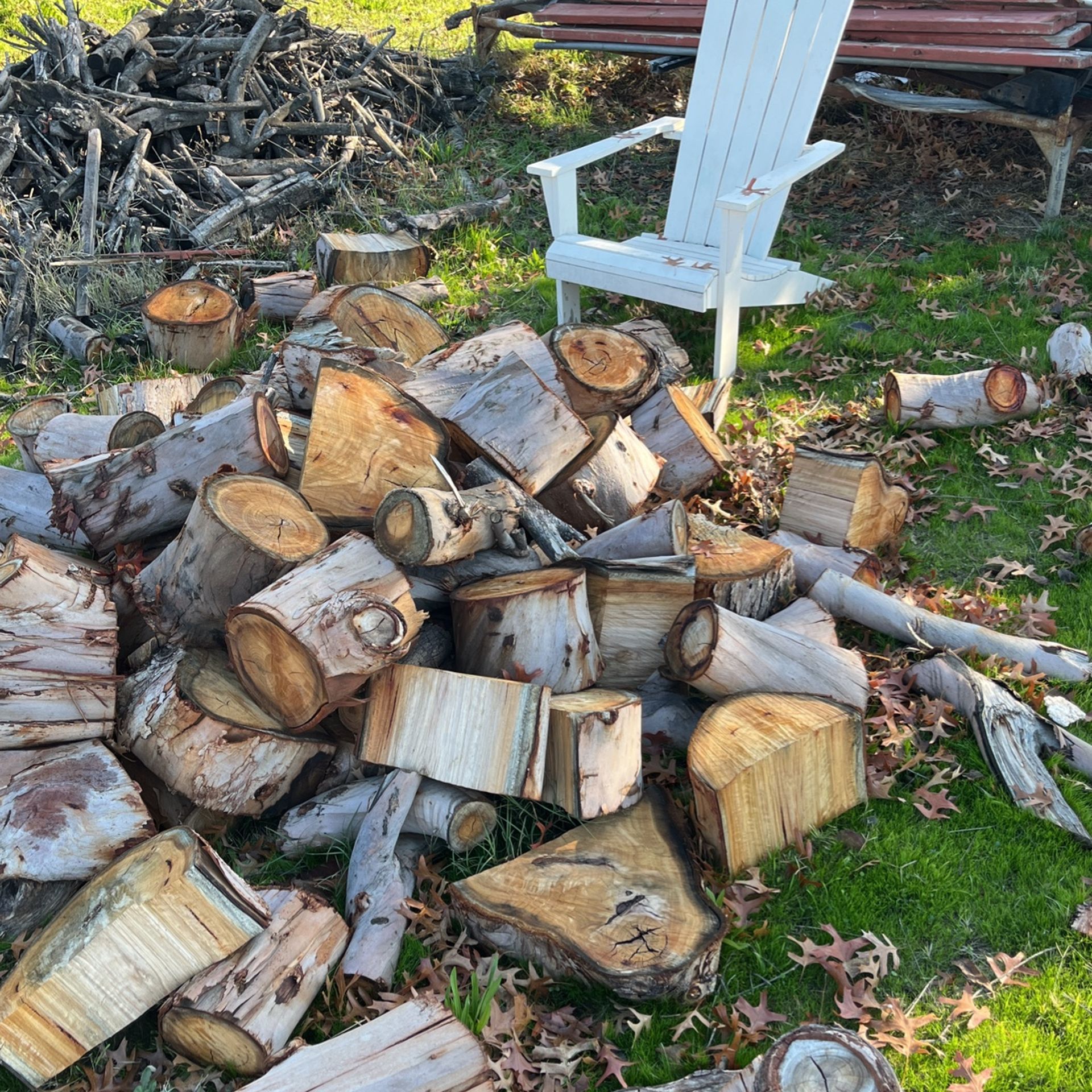 Firewood