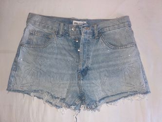 Zara Shorts
