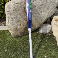 Speed composite bat 28-10