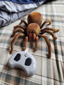 Remote control spider works great