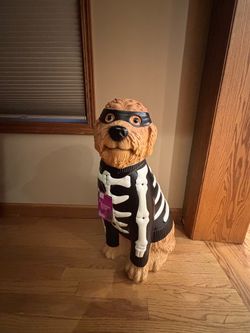 Halloween Goldendoodle