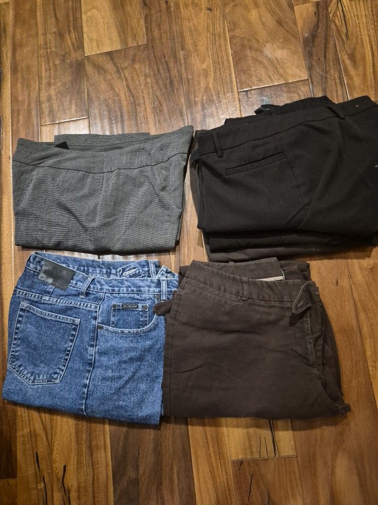 Women's Size 14 Pants and JEANS