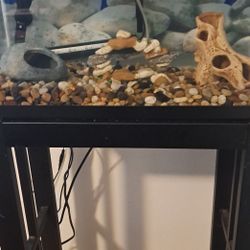 10 Gallon Fish Tank & setup! Ready to go! 