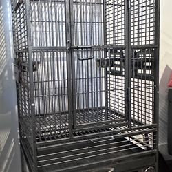 Parrot Cage