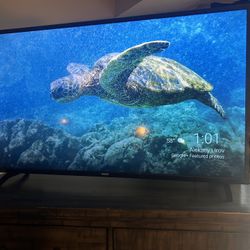 Phillips 55” 4k Tv