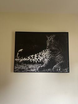 Framed Leopard Black & White Wall Art