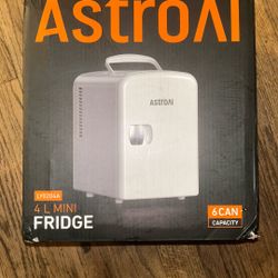 4L Mini Fridge 