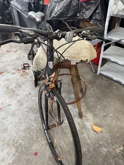 Trek  men’s Bicycle