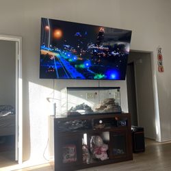 Tanks And Decor For Reptile/fish