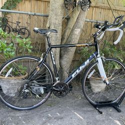Fuji newest online 1.0 for sale