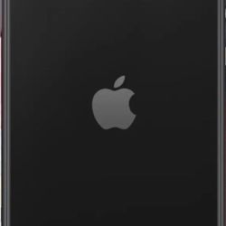 iPhone 11 with TikTok 