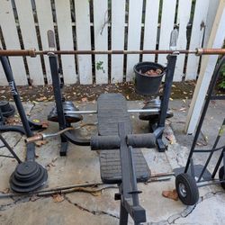 OLYMPIC WEIGHT BENCH AND EVERLAST BOXING BAG