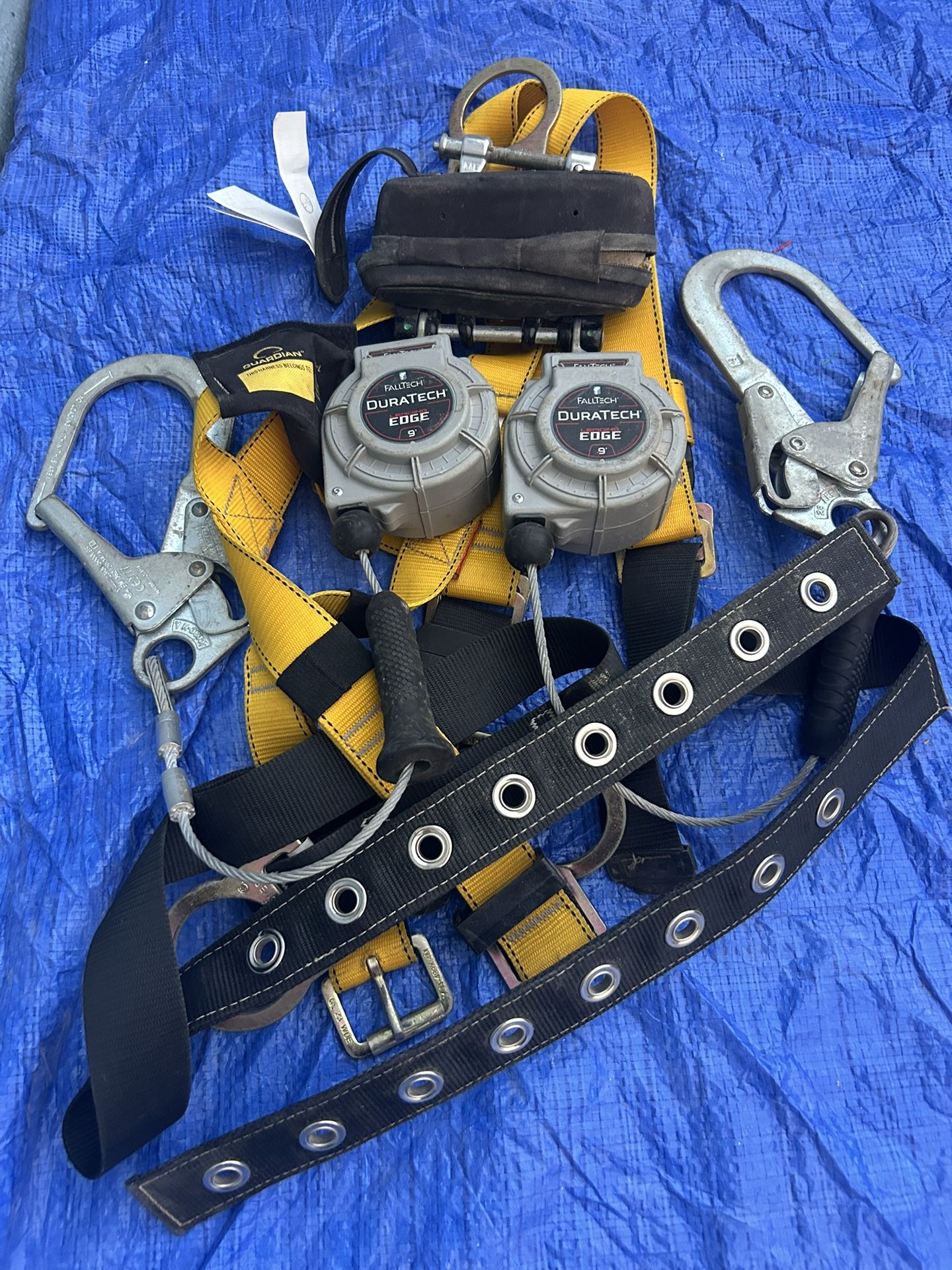 Harness