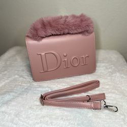 Dior Crossbody/hand Bag