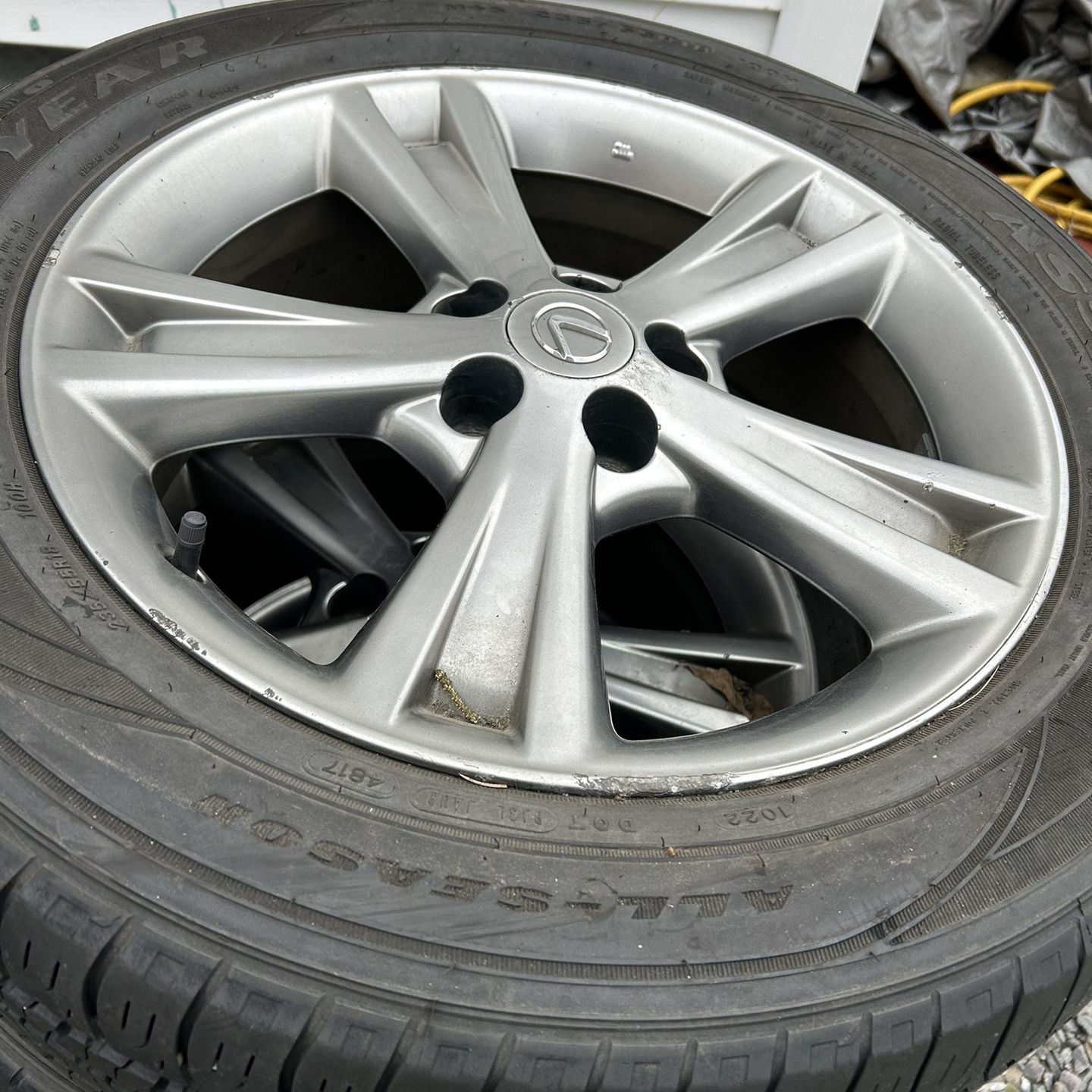Image #1