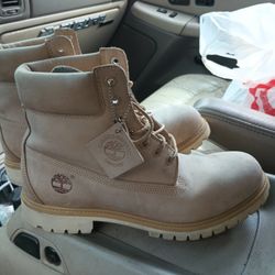 Size 11 Timberlands