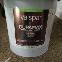 Paint+primer 5 Gallons 