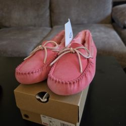 UGG W Dakota Pink Size 6
