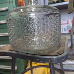 Live Water Jug.  20.00