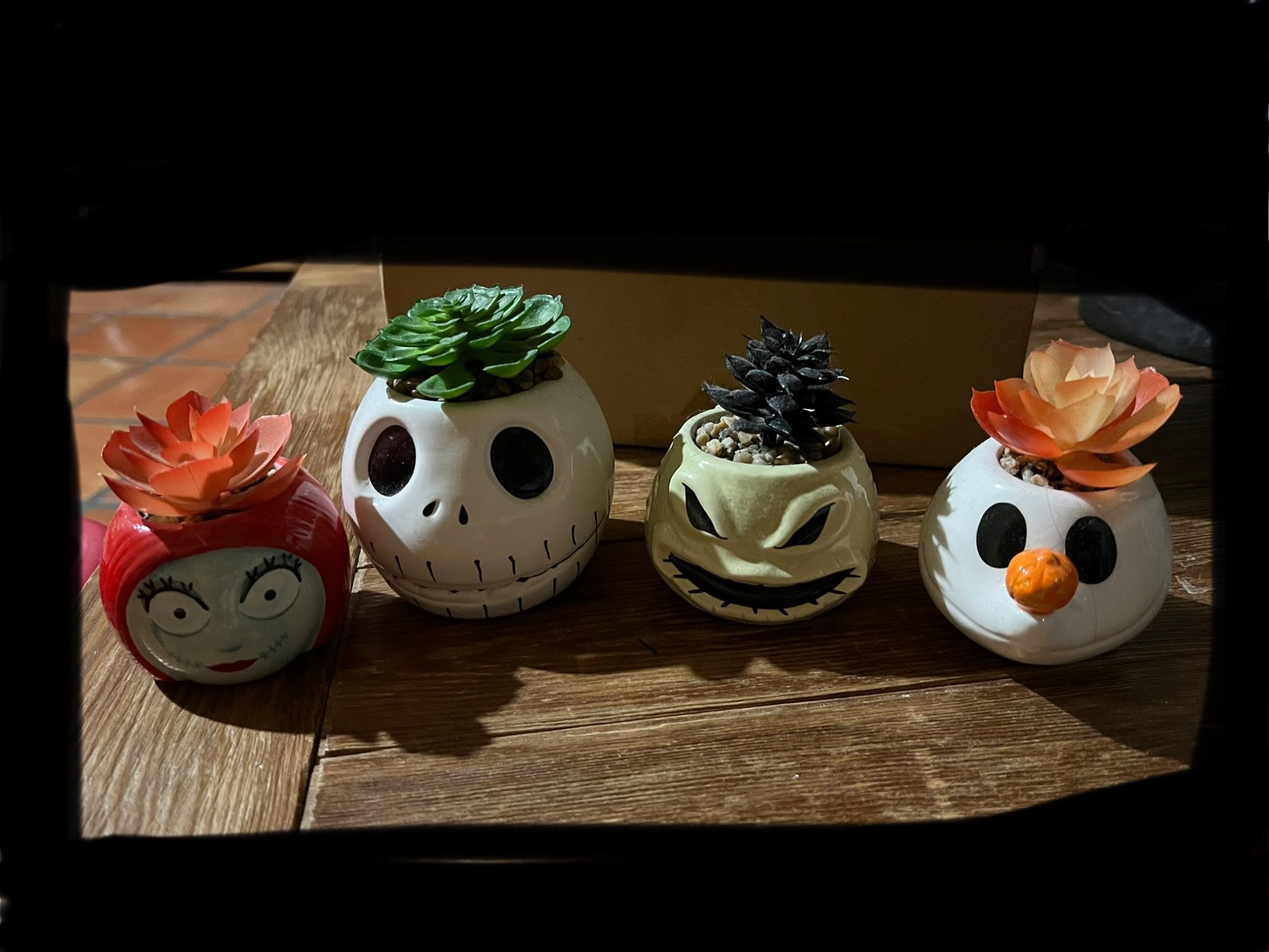 Nightmare Before Christmas Succulents Bundle