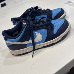 Nike Dunks 4Y