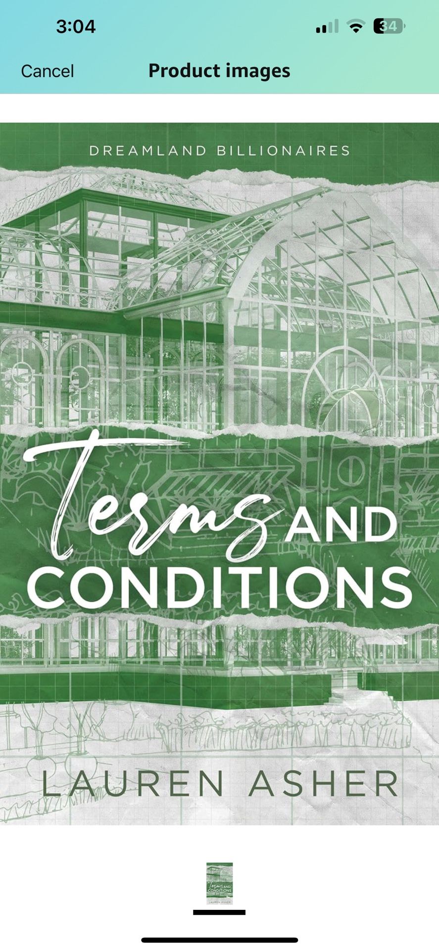 Terms And Conditions By Lauren Asher