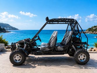 Automatic Gokart200CC with Reverse