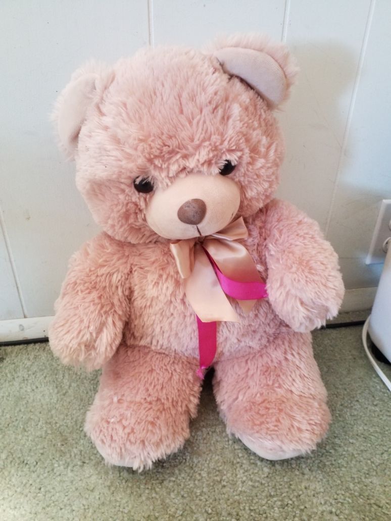 PLUSH TEDDY BEAR 🧸