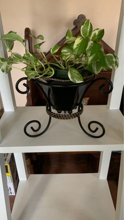 One of a kind metal plant stand