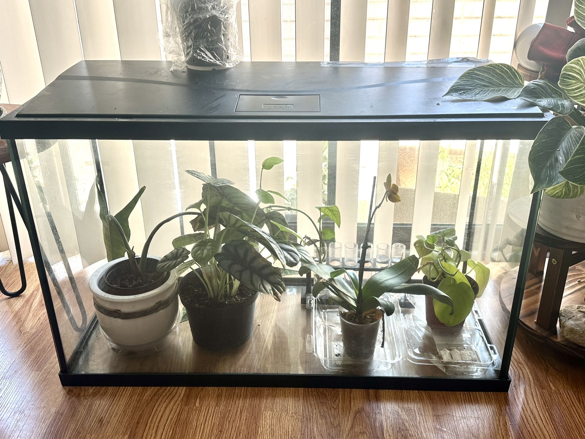 30 Gallon Fish Tank Aquarium Reptile Terrarium with Lid, Plant Greenhouse