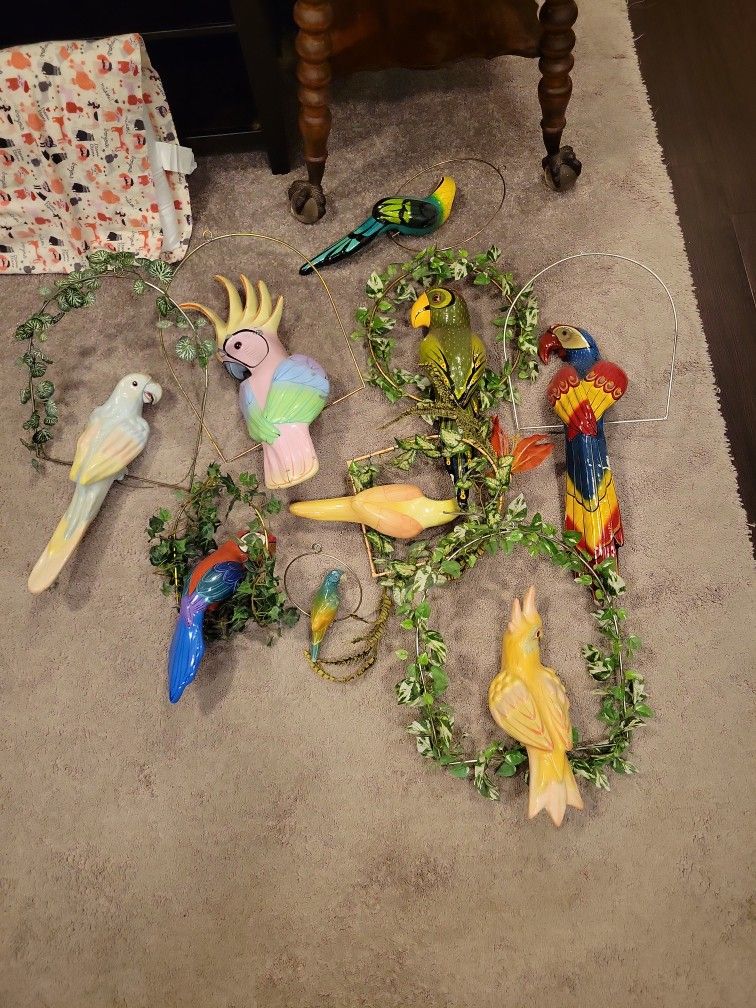 9 Hanging Parrots Mexico